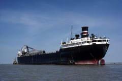 Thumbnail Image for Sharon