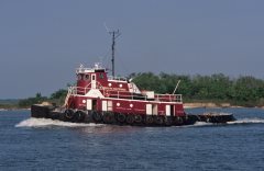 Thumbnail Image for W. Douglas Masterson