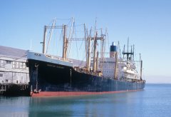 Thumbnail Image for Hawaiian Rancher