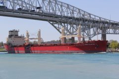 Thumbnail Image for Federal William Paul