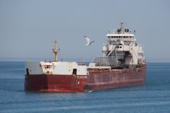 Thumbnail Image for Atlantic Huron oncontextmenu=