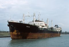 Thumbnail Image for Swan