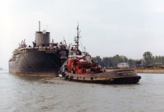 Thumbnail Image for Tom M. Girdler