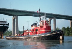 Thumbnail Image for Tusker