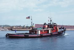 Thumbnail Image for Chippewa