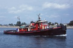 Thumbnail Image for Chippewa