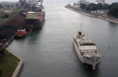 Thumbnail Image for Thomas F. Patton