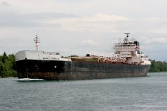 Thumbnail Image for Adam E. Cornelius