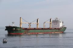 Thumbnail Image for Labrador