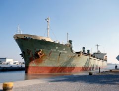 Thumbnail Image for Asia Flamingo