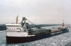 Thumbnail Image for Tarantau