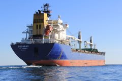 Thumbnail Image for Redhead