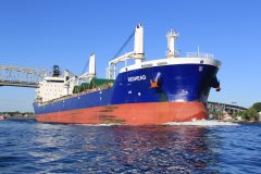 Thumbnail Image for Redhead