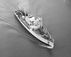 Thumbnail Image for Calypso