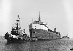 Thumbnail Image for Wyandotte