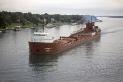 Thumbnail Image for Elton Hoyt II