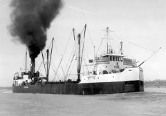 Thumbnail Image for Newbrundoc