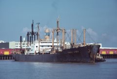 Thumbnail Image for Thomas Lynch