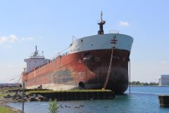 Thumbnail Image for Spruceglen