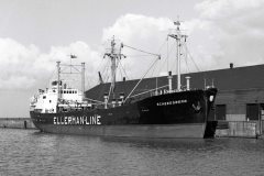 Thumbnail Image for Scheersberg