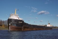 Thumbnail Image for Algomarine