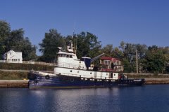 Thumbnail Image for Wilfred M. Cohen