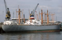 Thumbnail Image for Saudi Mohammed Reza