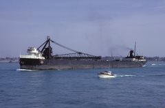 Thumbnail Image for J.L. Reiss