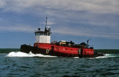 Thumbnail Image for Tenacious oncontextmenu=