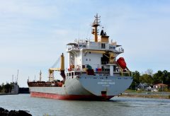 Thumbnail Image for Nomadic Milde