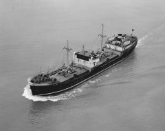 Thumbnail Image for Dido oncontextmenu=