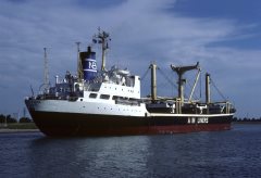 Thumbnail Image for Kriti Pearl