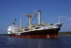 Thumbnail Image for Kriti Pearl