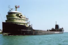 Thumbnail Image for Charles M. White