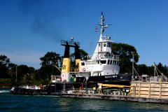 Thumbnail Image for Petite Forte oncontextmenu=