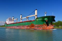 Thumbnail Image for Mottler oncontextmenu=