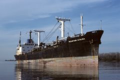 Thumbnail Image for Mountain Azalea