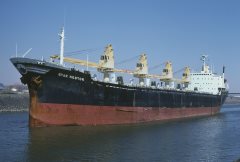 Thumbnail Image for Star Nestor oncontextmenu=