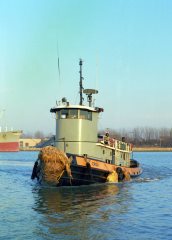 Thumbnail Image for Crow style=