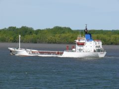 Thumbnail Image for Vindemia oncontextmenu=