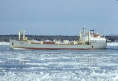 Thumbnail Image for Tiuna oncontextmenu=