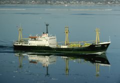 Thumbnail Image for Tolya Komar