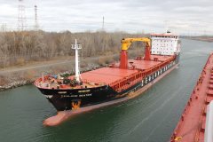 Thumbnail Image for Zealand Beatrix oncontextmenu=