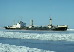 Thumbnail Image for Toxa oncontextmenu=