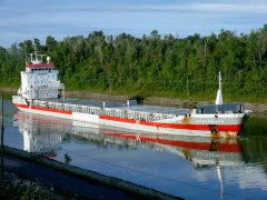 Thumbnail Image for Dongeborg oncontextmenu=