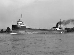 Thumbnail Image for Forestdale