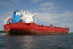 Thumbnail Image for NS Silver oncontextmenu=