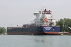 Thumbnail Image for Algoma Niagara oncontextmenu=