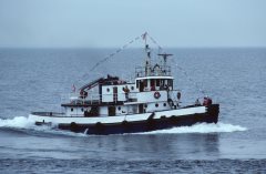 Thumbnail Image for W.J. Ivan Purvis oncontextmenu=