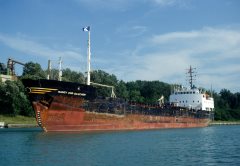 Thumbnail Image for Nancy Orr Gaucher oncontextmenu=